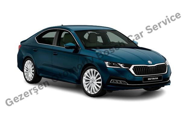 Adana Skoda Servisi